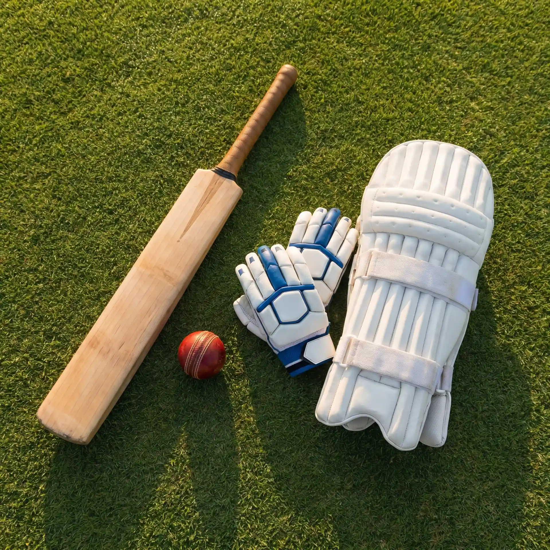 Cricket Equipment