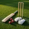 Pro-Level Cricket Bat