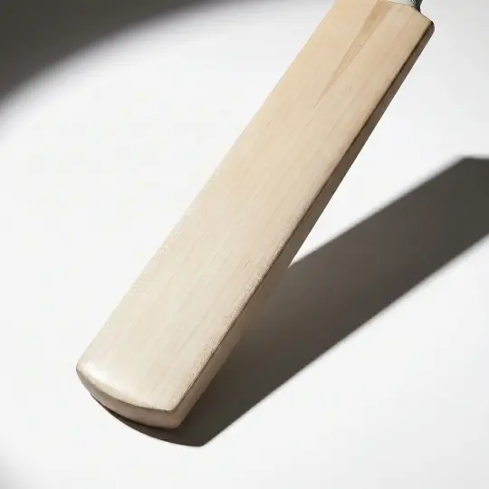 Pro-Level Cricket Bat